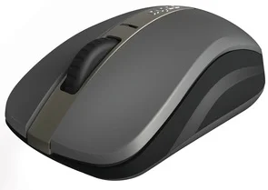 Фото: Миша Rapoo 6610M Gray (6610 grey) № 2 | KTC