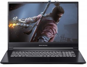 Ноутбук Dream Machines G1650-17UA27 Black