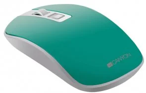 Фото: Миша Canyon CNS-CMSW18A Green/White № 4 | KTC