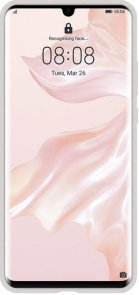 Чохол Huawei for P30 Pro - PU Grey (51992981)