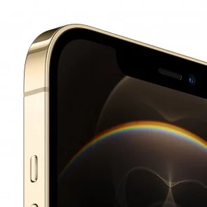 Фото: Смартфон Apple iPhone 12 Pro Max 256GB Gold (MGDE3) № 4 | KTC