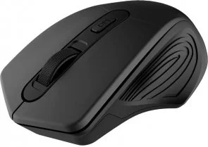 Фото: Миша Canyon CNE-CMSW15B Black № 3 | KTC