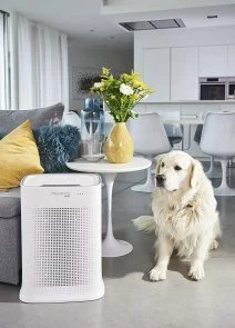 Фото: Очищувач повітря Rowenta PU3080F0 Pure Air № 10 | KTC
