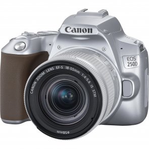 Цифрова фотокамера дзеркальна Canon EOS 250D kit 18-55mm IS STM Silver (3461C003)