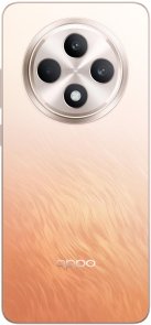 Смартфон OPPO Reno12 FS 5G CPH2637 12/512GB Amber Orange