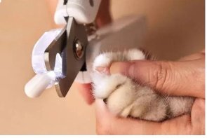 Кусачки PETKIT LED Pet Nail Clipper PRO (PK2302)