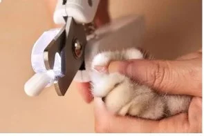 Фото: Кусачки PETKIT LED Pet Nail Clipper PRO (PK2302) № 8 | KTC
