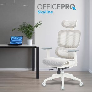 Крісло OfficePro Skyline OC680 White/Light Gray (OC680-W-LG-LG)