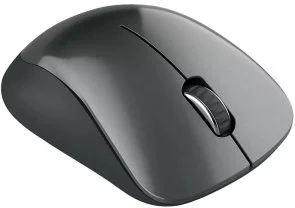 Фото: Миша Canyon CNE-CMSW11B Grey № 4 | KTC