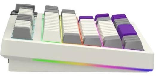 Клавіатура Lorgar KBP70TKLW Toxic Purple ENG WL/RT/USB Beige (LRG-KBP70TKLW-RT-US)