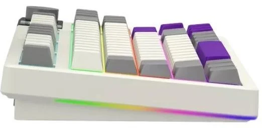 Фото: Клавіатура Lorgar KBP70TKLW Toxic Purple ENG WL/RT/USB Beige (LRG-KBP70TKLW-RT-US) № 5 | KTC