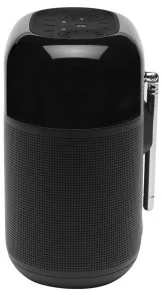 Портативна колонка JBL Tuner XL FM Black (JBLTUNERXLBLKEUNA)