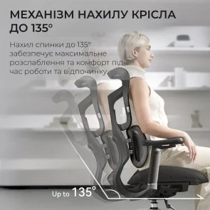 Фото: Крісло SIHOO Doro S100 Black (S100-M301) № 8 | KTC