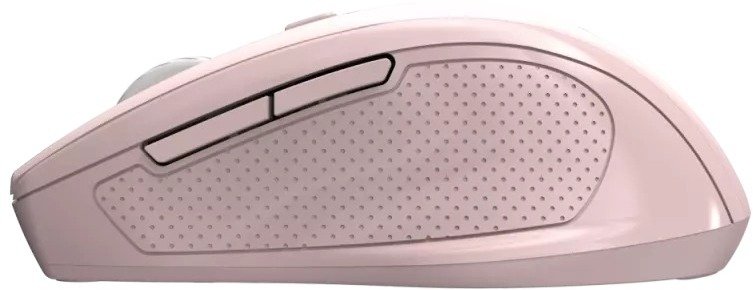 Миша Canyon OnClick 20 Wireless Pink (CNE-CMSW20P)