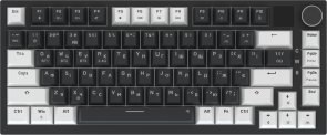 Клавіатура GamePro Genesis Asgard Valhalla Pro MK160B-D-Pro Rainy Switches Black