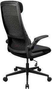 Крісло ігрове Cougar Stryder, Black