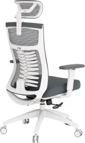 Фото: Крісло OfficePro Balance OC550-W-DG-DG White/Dark Gray № 6 | KTC
