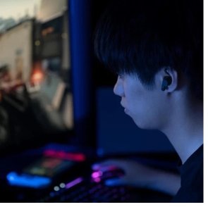 Гарнітура вакуумна Final Audio VR3000 TWS Black