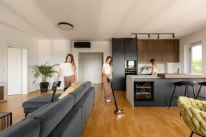 Ручний бездротовий пилосос Gorenje SVC259400NES (747437)