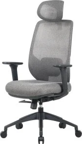 Фото: Крісло OfficePro Comfort OC524G Gray № 3 | KTC