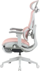 Фото: Крісло OfficePro Elite OC950GLP Gray/Light Pink № 6 | KTC