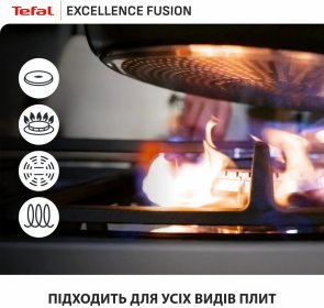 Сковорода Tefal Excellence Fusion 20cm Black (G3380202)