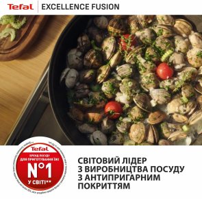 Сковорода Tefal Excellence Fusion 26cm Black (G3380502)