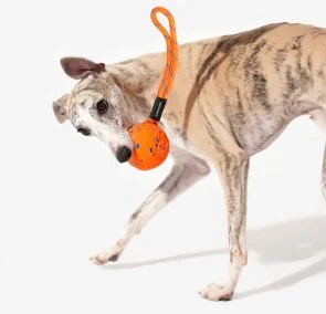 Фото: Інтерактивна електромеханічна іграшка Cheerble Wicked Ball Air Rope Bright Orange (CWQ03O) № 5 | KTC