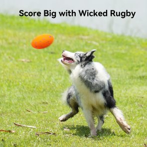 Іграшка Cheerble Wicked Rugby Bright Orange (CWQ06O)