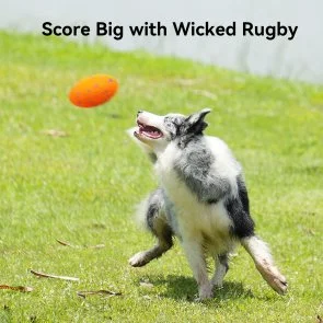 Фото: Інтерактивна електромеханічна іграшка Cheerble Wicked Rugby Bright Orange (CWQ06O) № 11 | KTC