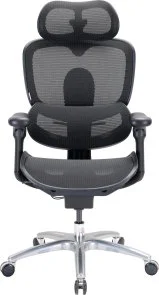 Фото: Крісло SIHOO C300 Lite V2 Black (C300-LITE-V2-B101) № 2 | KTC