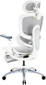 Фото: Крісло SIHOO C300 Lite V2 White (C300-LITE-V2-B102) № 4 | KTC