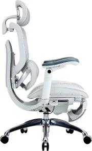 Фото: Крісло SIHOO C300 Pro V2 with footrest White (C300-PRO-V2-B102-JT) № 3 | KTC