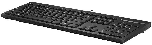 Фото: Клавіатура HP 125 USB Black (AY2Y7AA) № 3 | KTC