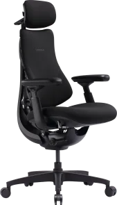 Фото: Крісло LiberNovo Omni SE Obsidian 48cm (CP-GW-1000075-00-03) № 3 | KTC