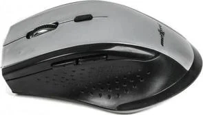 Фото: Миша Maxxtro Mr-311-S Silver № 3 | KTC