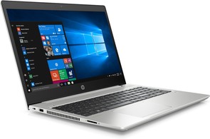 Ноутбук HP ProBook 455 G6 5XH26AV_V2 Silver