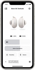 Гарнітура BOSE QuietComfort Earbuds Soapstone (831262-0020)