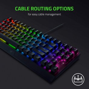 Клавіатура, Razer BlackWidow V3 TKL ENG USB, Black ( Gaming )