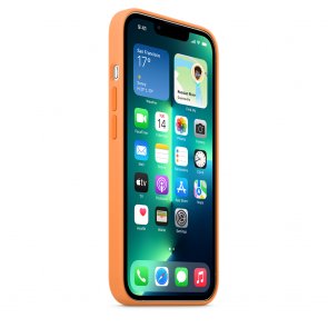 Чохол Apple for iPhone 13 Pro - Silicone Case with MagSafe Marigold (MM2D3)