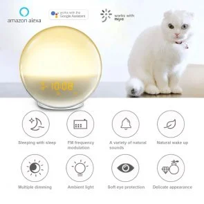 Фото: Нічник Tuya Wake Up Light Sunrise Alarm Clock WiFi (RSH-WiFi-TA001) № 5 | KTC