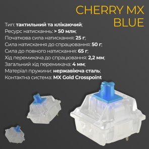 Клавіатура Ducky One 3 Cherry MX Blue RGB ENG/UKR Black (DKON2108ST-CUAPXCLAWSC1)