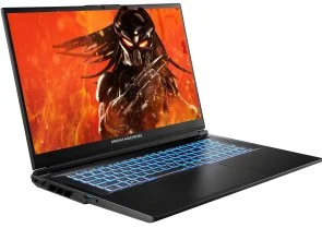 Фото: Ноутбук Dream Machines RG4050-17UA37 - 17.3" VA 144 Гц / Intel Core i7 / i7-14650HX / DDR5 16 ГБ / PCI-E SSD 1 ТБ / GeForce RTX 4050 № 2 | KTC
