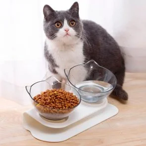 Фото: Годівниця Lapka Double cat food bowl (WF060) № 12 | KTC