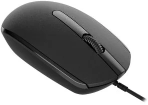 Фото: Миша Canyon CNE-CMS10B Black № 3 | KTC