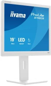 Фото: Монітор iiyama ProLite B1980S-W1 White - 19" TN+Film / 1280×1024 / 75 Гц / Pivot / HAS № 3 | KTC