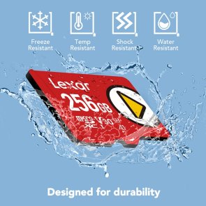 FLASH пам'ять SanDisk Play U3 V30 A2 Class 10 Micro SDXC 256Gb (LMSPLAY256G-BNSNG)