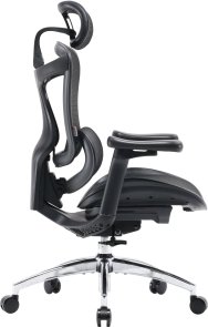 Крісло SIHOO Doro C300L Black (DORO-C300L-A3-101)