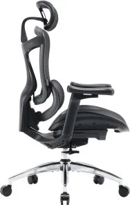 Фото: Крісло SIHOO Doro C300L Black (DORO-C300L-A3-101) № 4 | KTC
