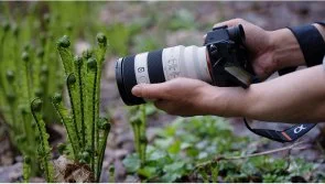 Фото: Об'єктив Sony 70-200mm f/4.0 G OSS II NEX FF (SEL70200G2.SYX) № 5 | KTC